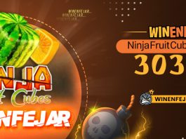 آموزش بازی Ninja Fruit Cubes در بت 303